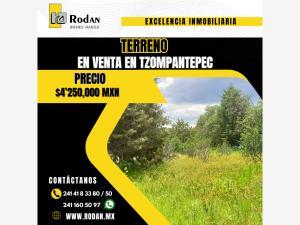 Terreno en venta en San Andres Ahuashuatepec, Tzompantepec, Tlaxcala