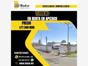 Terreno en renta en Centro, Apizaco, Tlaxcala