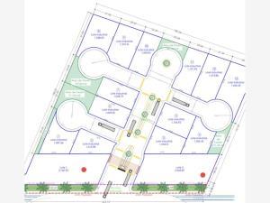 Terreno en venta en Ejido Ana, Torreón, Coahuila de Zaragoza