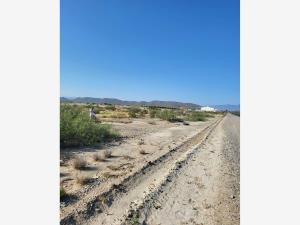 Terreno en venta en Parras de la Fuente Centro, Parras, Coahuila de Zaragoza