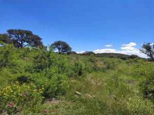 Terreno en venta en Montenegro, Querétaro, Querétaro