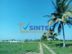 Terreno en venta en La Guadalupe, Tecolutla, Veracruz de Ignacio de la Llave