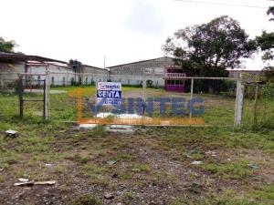 Terreno en renta en La Isla (Kilómetro 10), Tihuatlán, Veracruz de Ignacio de la Llave Terreno en renta en La Isla (Kilómetro 10), Tihuatlán, Veracruz de Ignacio de la Llave