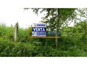 Terreno en venta en Salvador Allende, Poza Rica de Hidalgo, Veracruz de Ignacio de la Llave