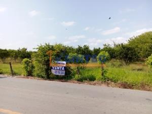 Terreno en venta en Frijolillo, Tuxpan, Veracruz de Ignacio de la Llave