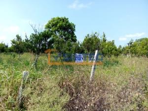 Terreno en venta en Frijolillo, Tuxpan, Veracruz de Ignacio de la Llave