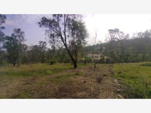 Terreno en venta en Lomas de La Campiña, Morelia, Michoacán de Ocampo Terreno en venta en Lomas de La Campiña, Morelia, Michoacán de Ocampo