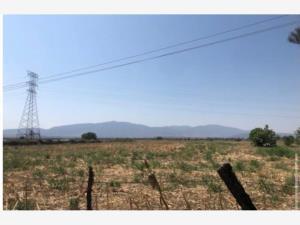Terreno en venta en La Capilla del Refugio, Ixtlahuacán de los Membrillos, Jalisco
