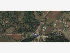 Terreno en venta en Jesus del Monte, Morelia, Michoacán de Ocampo
