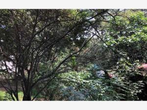 Terreno en venta en Miguel Hidalgo 3A Sección, Tlalpan, Ciudad de México