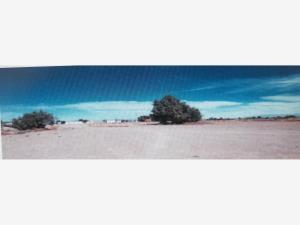 Terreno en venta en Escalón, Jiménez, Chihuahua