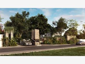 Terreno en venta en Santa Gertrudis Copo, Mérida, Yucatán Terreno en venta en Santa Gertrudis Copo, Mérida, Yucatán