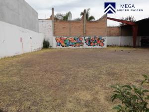 Terreno en renta en Guillermina, Durango, Durango