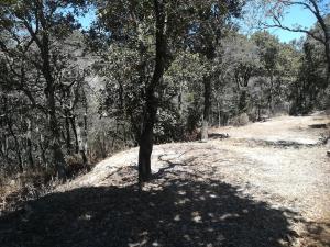 Terreno en venta en La Estanzuela, Mineral del Chico, Hidalgo