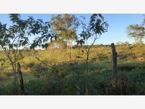 Finca-Rancho en venta en Sucila, Sucilá, Yucatán