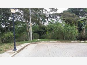 Terreno en venta en Xico, Xico, Veracruz de Ignacio de la Llave