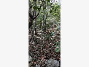 Terreno en venta en Tulum Centro, Tulum, Quintana Roo
