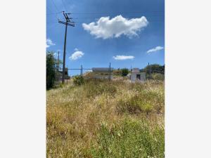 Terreno en renta en Segundo Barrio de Dolores, El Marqués, Querétaro