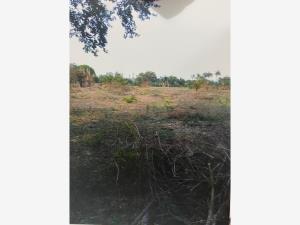 Terreno en venta en El Apachital, Jamapa, Veracruz de Ignacio de la Llave
