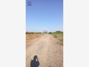 Terreno en venta en San Vicente Tancuayalab Centro, San Vicente Tancuayalab, San Luis Potosí