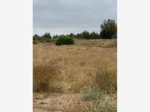 Terreno en venta en El Porvenir (Guadalupe), Ensenada, Baja California
