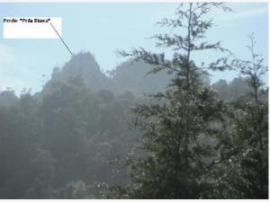 Terreno en remate en Jilotepec, Zacapoaxtla, Puebla