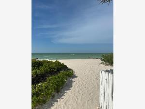 Terreno en venta en Chelem, Progreso, Yucatán Terreno en venta en Chelem, Progreso, Yucatán