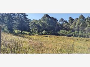 Terreno en venta en Valle de Bravo, Valle de Bravo, México
