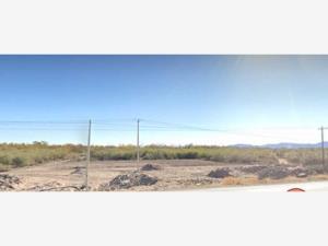 Terreno en renta en San Isidro, San Pedro, Coahuila de Zaragoza