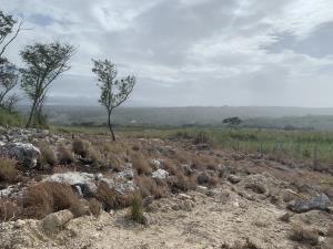 Terreno en venta en Linda Vista, Berriozábal, Chiapas