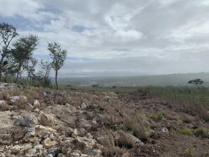 Terreno en venta en Berlín, Berriozábal, Chiapas