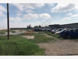 Terreno en renta en Ejido San Miguel, Matamoros, Coahuila de Zaragoza