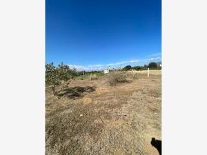 Terreno en venta en Tlalixtac de Cabrera, Tlalixtac de Cabrera, Oaxaca