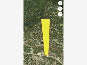 Terreno en venta en El Vergel y Anexos, San Felipe, Guanajuato Terreno en venta en El Vergel y Anexos, San Felipe, Guanajuato