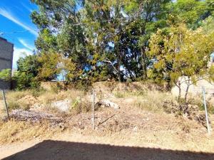 Terreno en venta en Santa María del Tule Centro, Santa María del Tule, Oaxaca