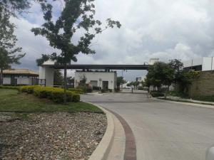 Terreno en venta en El Mayorazgo Residencial, León, Guanajuato