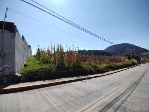 Terreno en venta en San Juan Tomasquillo, Xalatlaco, México