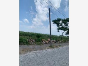 Terreno en venta en Los Cedros, Ixtlahuacán de los Membrillos, Jalisco