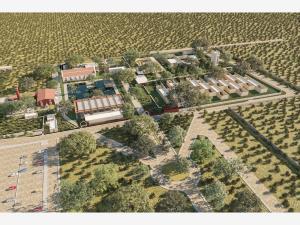 Terreno en venta en Telchac Puerto, Telchac Puerto, Yucatán