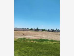 Terreno en venta en La Gran Vinícola, Gómez Palacio, Durango Terreno en venta en La Gran Vinícola, Gómez Palacio, Durango