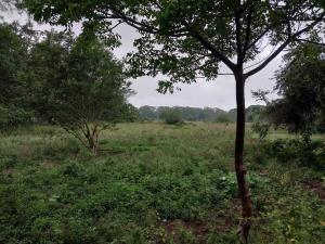 Terreno en venta en Primero de Mayo (Los Mangos), Pueblo Viejo, Veracruz de Ignacio de la Llave