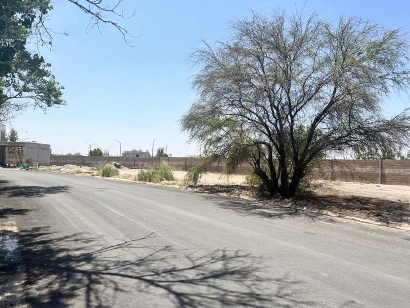 Foto 0 de Terreno en venta en Villas del Renacimiento, Torreón, Coahuila de Zaragoza | Id mx24-pt9050
