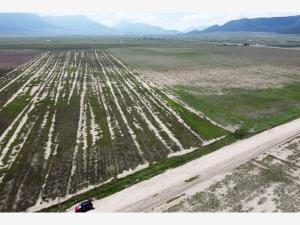 Terreno en venta en San Antonio de las Alazanas, Arteaga, Coahuila de Zaragoza