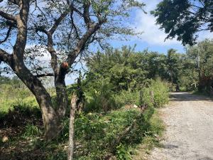 Terreno en venta en Paso Colorado, Boca del Río, Veracruz de Ignacio de la Llave
