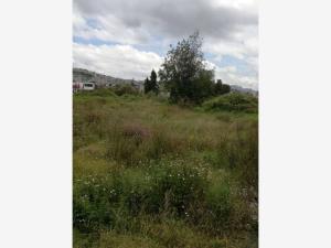 Terreno en renta en Calacoaya, Atizapán de Zaragoza, México