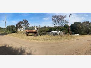 Terreno en venta en Mexquemeca, Yecapixtla, Morelos