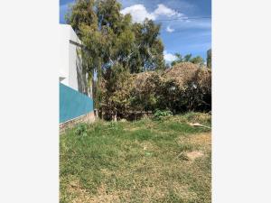 Terreno en venta en Las Cañadas (Bosques de San Isidro), Zapopan, Jalisco Terreno en venta en Las Cañadas (Bosques de San Isidro), Zapopan, Jalisco
