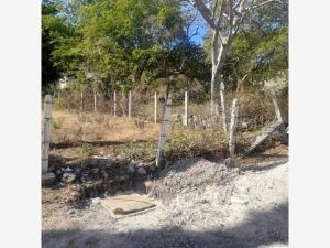 Terreno en venta en Valle Sol, Zacatepec, Morelos