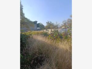 Terreno en venta en Las Fincas, Jiutepec, Morelos