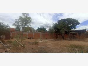 Terreno en venta en San Agustin Yatareni, San Agustín Yatareni, Oaxaca